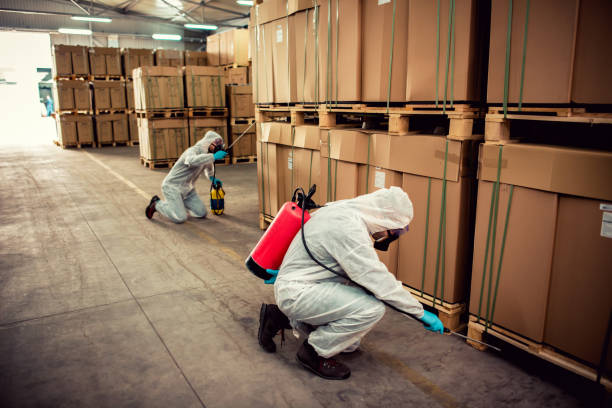 Reliable Pooler, GA Pest Control Solutions