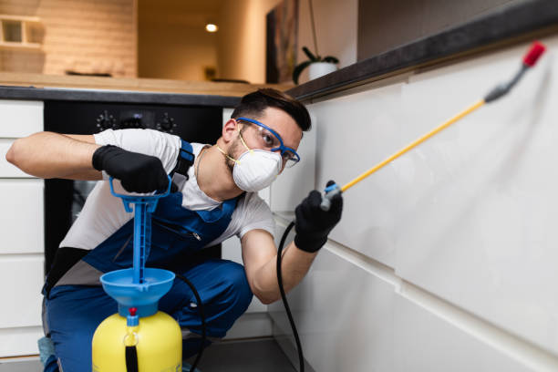 Best Affordable Pest Control Services  in Pooler, GA
