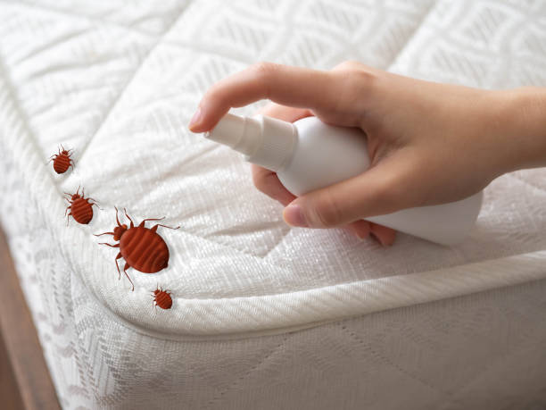 Best Best Pest Control Companies  in Pooler, GA