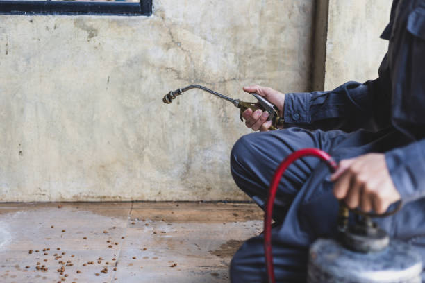 Best Local Pest Control Services  in Pooler, GA